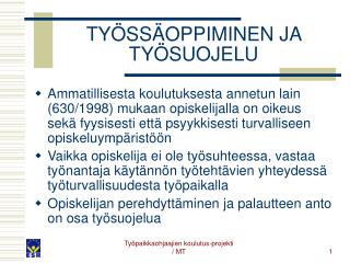 TYÖSSÄOPPIMINEN JA TYÖSUOJELU