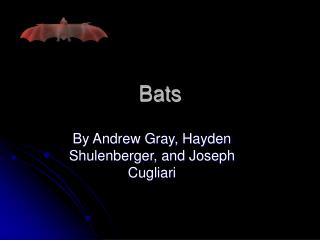 Bats