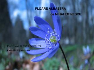 FLOARE ALBASTRA de MIHAI EMINESCU