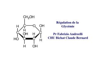 Régulation de la Glycémie Pr Fabrizio Andreelli CHU Bichat Claude Bernard