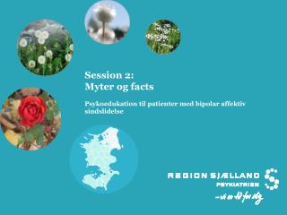 Session 2: Myter og facts Psykoedukation til patienter med bipolar affektiv sindslidelse