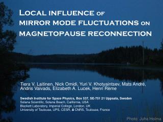 Local influence of mirror mode fluctuations on magnetopause reconnection