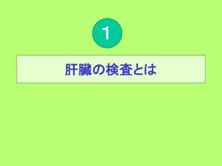 肝臓の検査とは