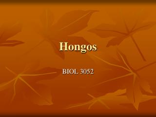 Hongos