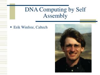DNA Computing by Self Assembly