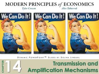 Transmission and Amplification Mechanisms