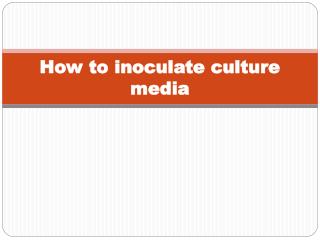 How to inoculate culture media