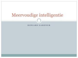 Meervoudige intelligentie