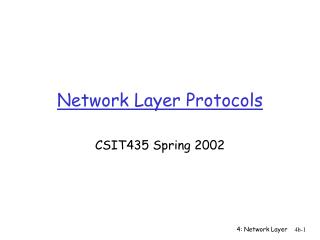 Network Layer Protocols