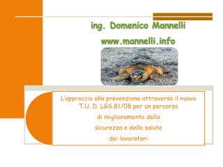 ing. Domenico Mannelli mannelli