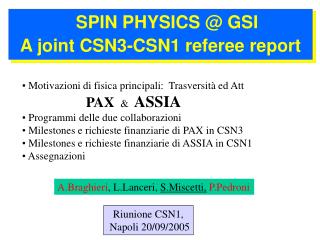 SPIN PHYSICS @ GSI A joint CSN3-CSN1 referee report