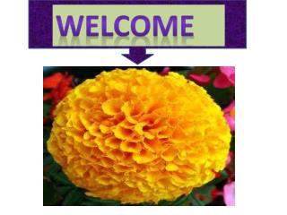 Welcome