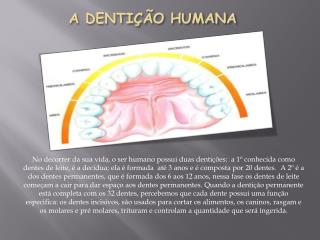 A DENTIÇÃO HUMANA