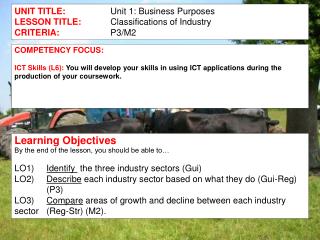 UNIT TITLE: Unit 1: Business Purposes LESSON TITLE: 	Classifications of Industry