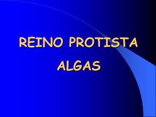 REINO PROTISTA ALGAS