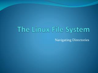 The Linux File System