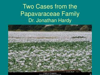 Two Cases from the Papavaraceae Family Dr. Jonathan Hardy