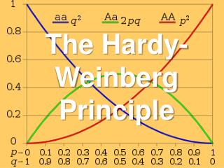 The Hardy-Weinberg Principle