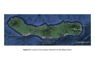 Figure S1. Location of the samples collected from São Miguel Island.