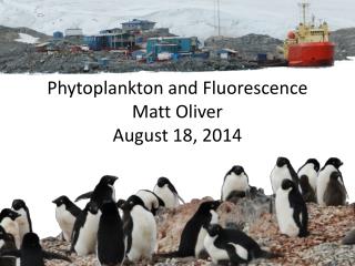 Phytoplankton and Fluorescence Matt Oliver August 18, 2014
