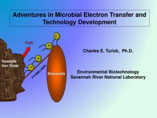 Adventures in Microbial Electron Transfer and Technology Development