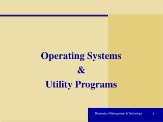 Operating Systems &amp; Utility Programs