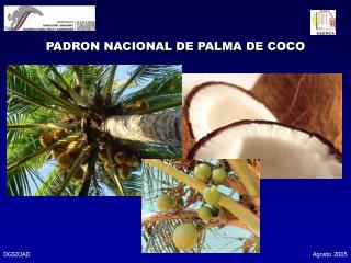 PADRON NACIONAL DE PALMA DE COCO