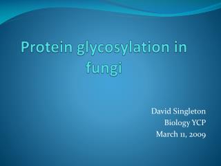 Protein glycosylation in fungi