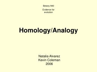 Homology/Analogy