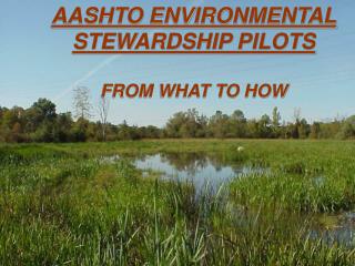 AASHTO ENVIRONMENTAL STEWARDSHIP PILOTS FROM WHAT TO HOW