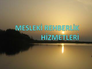 MESLEKİ REHBERLİK HİZMETLERİ