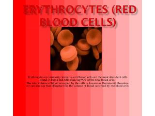 ERYTHROCYTES (RED BLOOD CELLS)