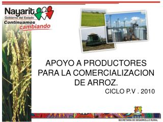 APOYO A PRODUCTORES PARA LA COMERCIALIZACION DE ARROZ. CICLO P.V . 2010