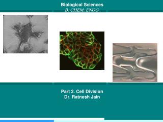 Biological Sciences B . CHEM. ENGG. Part 2. Cell Division Dr . Ratnesh Jain