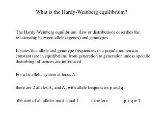 What is the Hardy-Weinberg equilibrium?