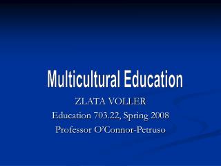 ZLATA VOLLER Education 703.22, Spring 2008 Professor O’Connor-Petruso