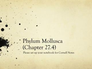 Phylum Mollusca (Chapter 27.4)