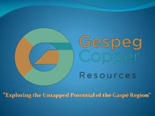 “ Exploring the Untapped Potential of the Gaspé Region”