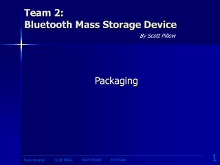 Team 2: Bluetooth Mass Storage Device