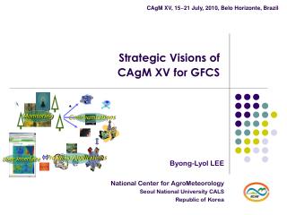 Strategic Visions of CAgM XV for GFCS