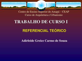 TRABALHO DE CURSO I