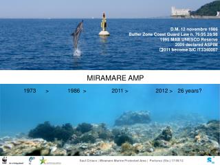 MIRAMARE AMP