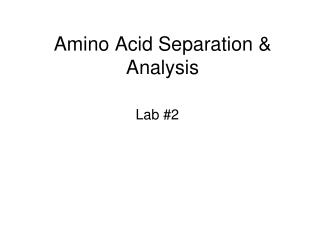 Amino Acid Separation &amp; Analysis