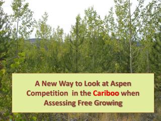 A New Way to Look at Aspen Competition in the Cariboo when Assessing Free Growing