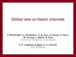 Global view on fission channels