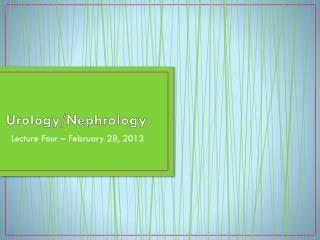 Urology/Nephrology