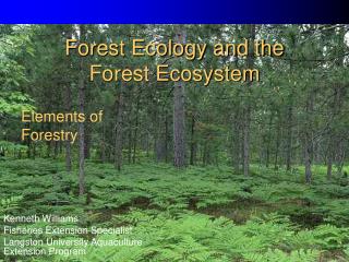 Forest Ecology and the Forest Ecosystem