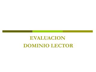 EVALUACION DOMINIO LECTOR