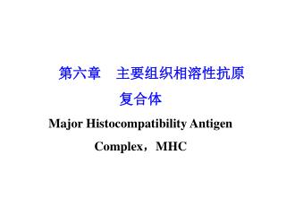 第六章    主要组织相溶性抗原 复合体 Major Histocompatibility Antigen Complex，MHC