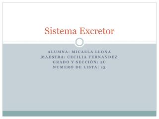 Sistema Excretor